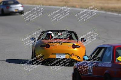 media/Nov-19-2023-Extreme Speed (Sun) [[bd0eec5490]]/Purple/Back Shots/